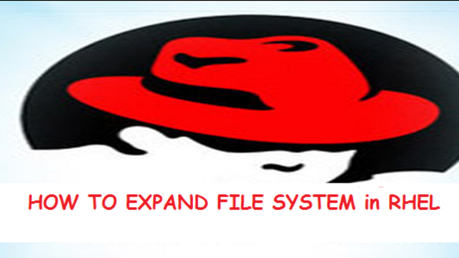 How to expand File System in RHEL RSY Digital World